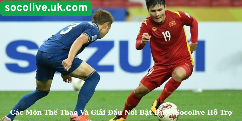 Các Môn Thể Thao Và Giải Đấu Nổi Bật Được Socolive Hỗ Trợ