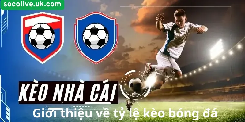 Giới thiệu về tỷ lệ kèo bóng đá