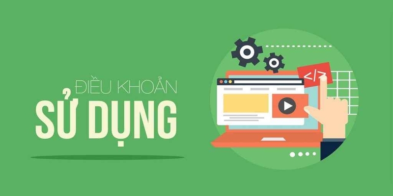 Những nội dung quan trọng trong chính sách điều khoản sử dụng